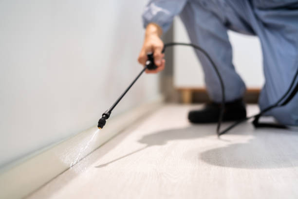 Professional exterminator conducting IPM assessment in Harwich Port